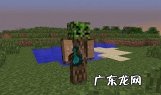 我的世界手游怎么回家 我的世界手游回家代码