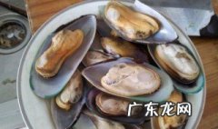 鲜活青口贝如何清洗 青口贝如何清洗