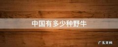 中国哪里野牛最多 中国有多少种野牛