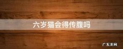 6岁的猫会得传腹吗 六岁猫会得传腹吗