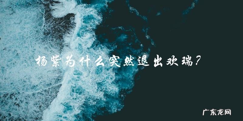为什么杨紫突然退出欢瑞,背后到底隐藏着什么秘密?