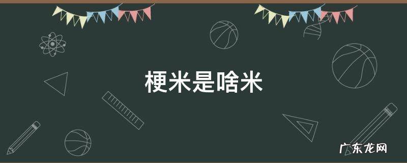 梗米又名什么米 梗米是啥米