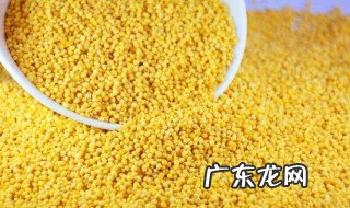 小鸭子能不能吃小米稀饭 小鸭子能不能吃小米