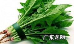 菠菜何时播种好? 菠菜什么时候播种多久能收获?