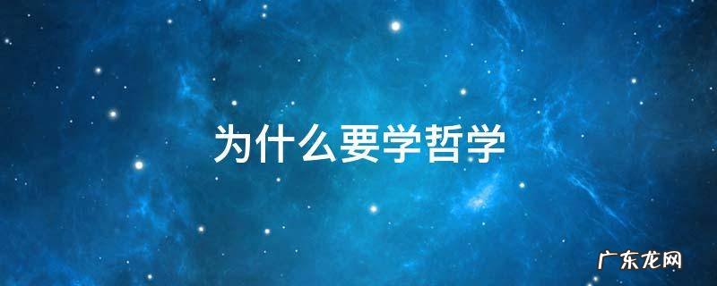 为什么要学哲学 政治为什么要学哲学