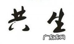 自然界中有哪些共生生物图片 自然界中有哪些共生生物