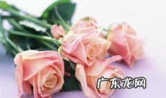 中国的国花是什么? 美国的国花是什么花