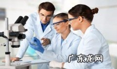 dna复制的特点 dna复制的特点有哪些