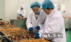 阿胶跟灵芝粉一起喝可以吗 阿胶可以跟灵芝一起吃吗