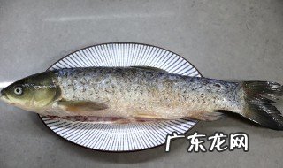 草鱼不沉底怎么回事 草鱼不沉底怎么回事呀