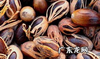 肉豆蔻的做法 肉豆蔻怎么做