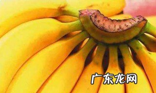 香蕉含有什么维生素和作用 香蕉的维生素含量和功效