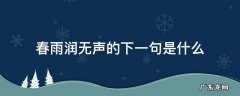 春雨润无声的下一句是什么 春风细雨润无声下一句是什么