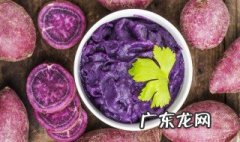 地瓜紫薯的功效与作用及禁忌 地瓜紫薯的功效与作用
