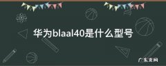 华为blnal40参数 华为blaal40是什么型号