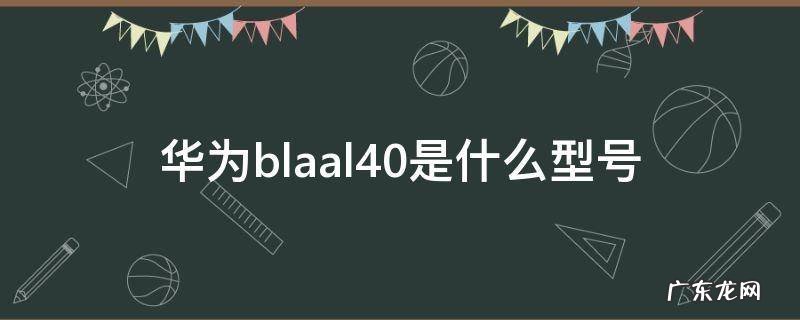 华为blnal40参数 华为blaal40是什么型号