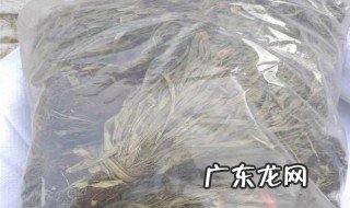 马灯草草药图 马灯草的作用与功效
