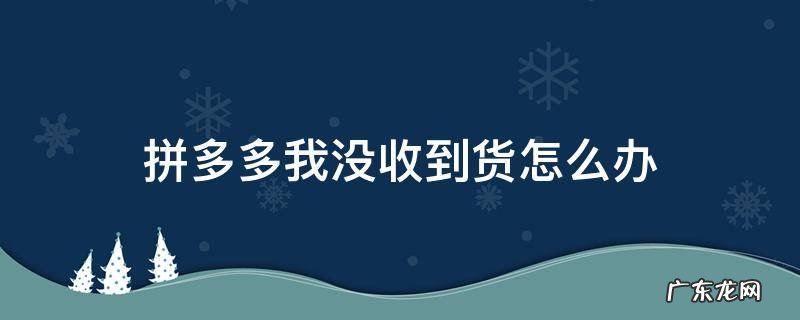 拼多多我没收到货怎么办 拼多多的货没收到怎么办