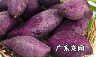 紫薯地瓜有什么功效 紫薯地瓜有什么功效和作用