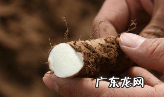 铁棍山药泥配什么做好吃 铁棍山药泥功效