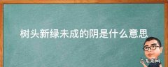 树头新绿未成荫的阴是什么意思? 树头新绿未成的阴是什么意思