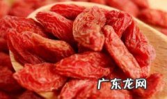 兔子能长期吃枸杞吗 兔子能长期吃枸杞吗视频