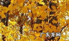 对生活感悟的简短说说 对生活感悟的简短说说短句
