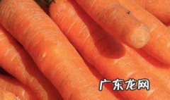 缺va会得什么病多吃什么补va 缺VA吃什么补得最快