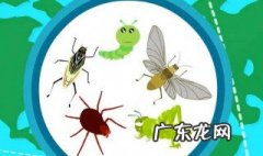 非洲为什么有蝗虫 非洲为什么有蝗灾