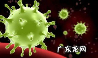 研究蝙蝠的科学家是谁 研究蝙蝠病毒有什么用