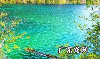 九寨沟在四川哪里哪个城市 九寨沟在四川哪里