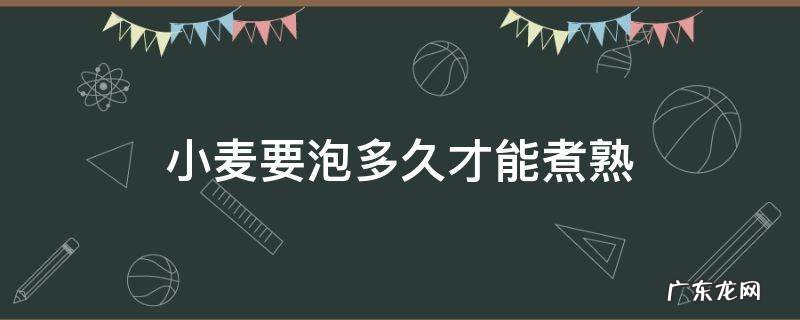 小麦要浸泡多长时间 小麦要泡多久才能煮熟