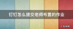 钉钉老师布置作业怎么完成 钉钉怎么提交老师布置的作业