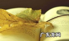 行止晚讲的什么内容 行止晚讲的什么