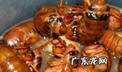 蚱蝉的功效与作用中药大全 蚱蝉的别名是什么?