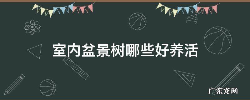 室内盆景树哪些好养活 什么盆景树好养活