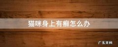 猫咪全身是癣怎么办 猫咪身上有癣怎么办