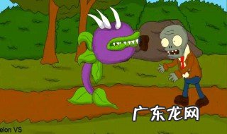 植物大战僵尸花有什么用 植物大战僵尸花的作用