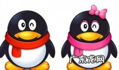 qq群冻结期怎么强行转让 qq群冻结期怎么强制转让群