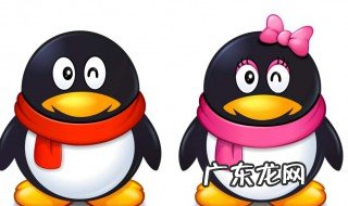 qq群冻结期怎么强行转让 qq群冻结期怎么强制转让群