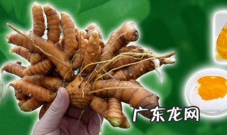 姜黄粉不能和什么一起吃呢 姜黄粉不能和什么一起吃
