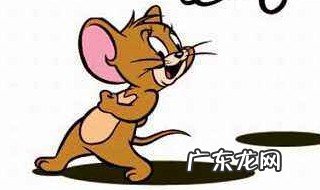 梦见田里好多老鼠 做梦梦见田鼠是什么意思