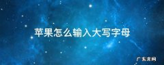 苹果怎么输入大写字母 苹果手机怎么输入大写英文字母