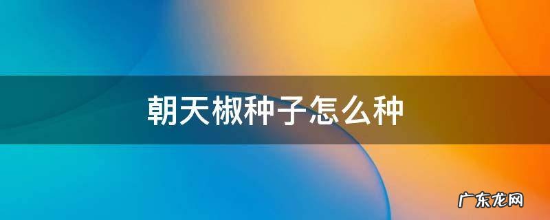 朝天椒种子怎么种 朝天椒种子怎么种植方法