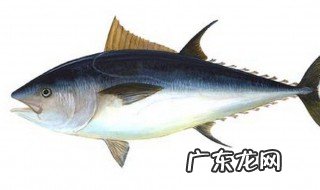 鱼肉不嫩了怎么回事 鱼肉不成型是怎么回事