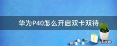 华为P40怎么开启双卡双待 华为p40怎样设置双卡双待