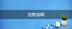 边牧凶吗,容不容易咬人 边牧凶吗