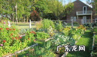 室外喜阴四季开花植物 室外喜阴四季开花植物