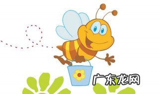 花峰有什么功效和作用 花蜂的作用与功效