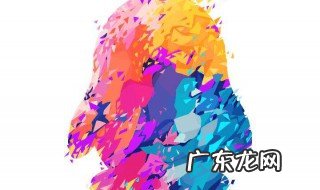 qq空间动态不显示了 qq空间动态没有了怎么回事